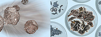 Marina Thiess / An Seebach © Marina Thiess / An Seebach ©